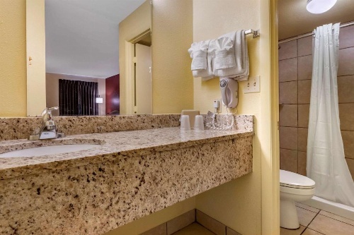 Econo Lodge Inn & Suites Maingate Central image 11
