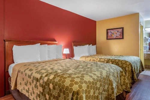 Econo Lodge Inn & Suites Maingate Central image 18